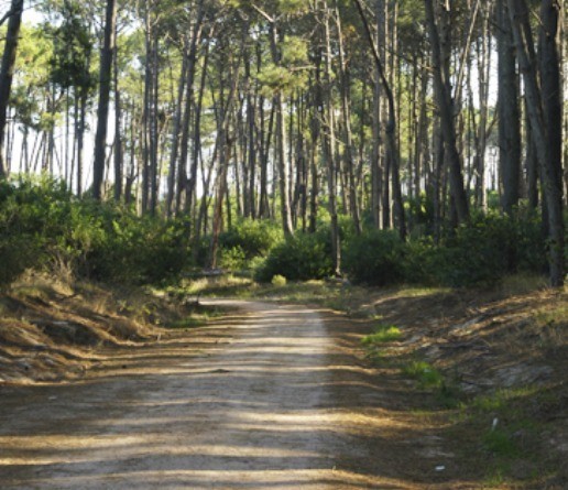 Venta de Lotes en Barrio Privado en Jose Ignacio